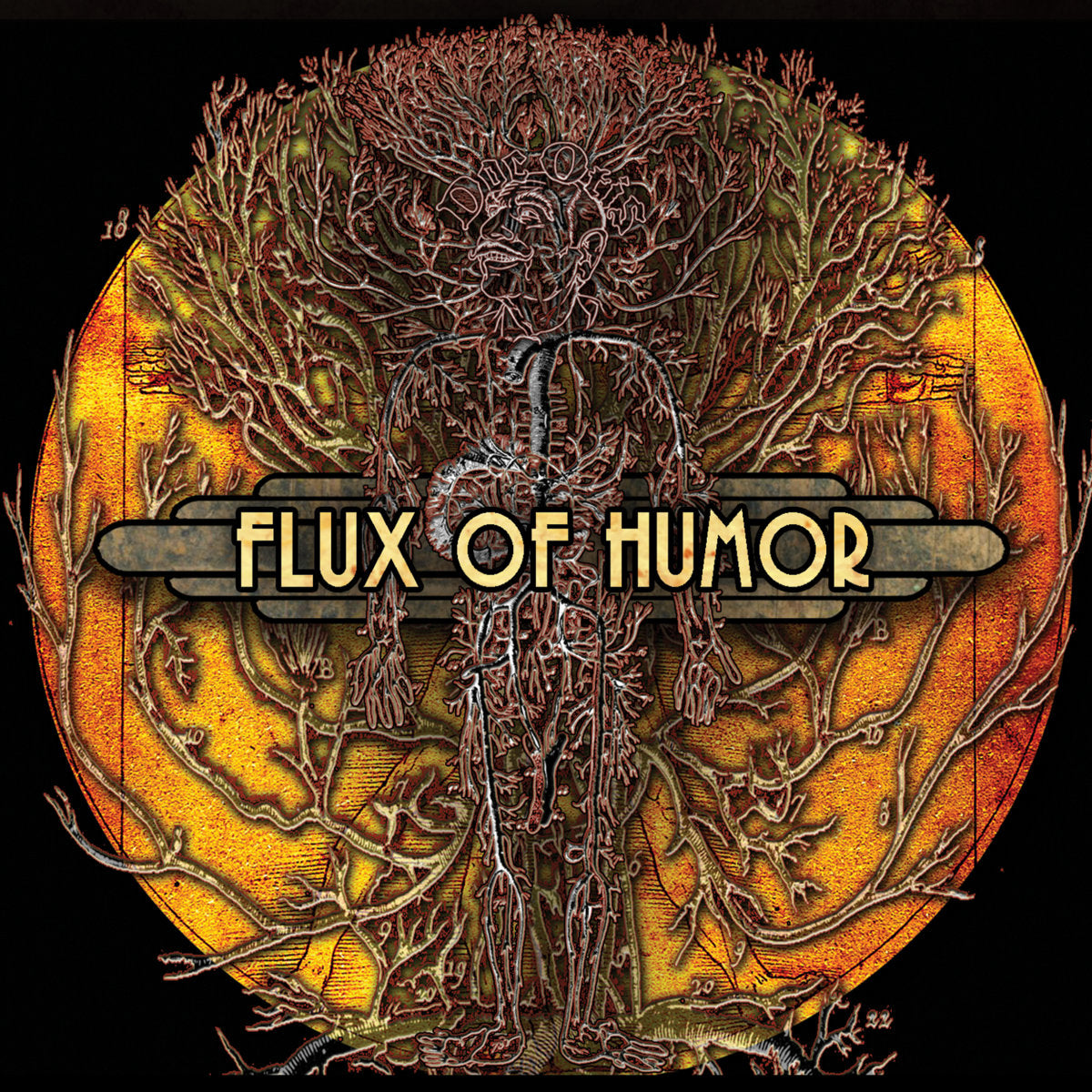 2018 Release Flux of Humor CD